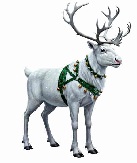 Click to enlarge Polar Reindeer in a belled harness